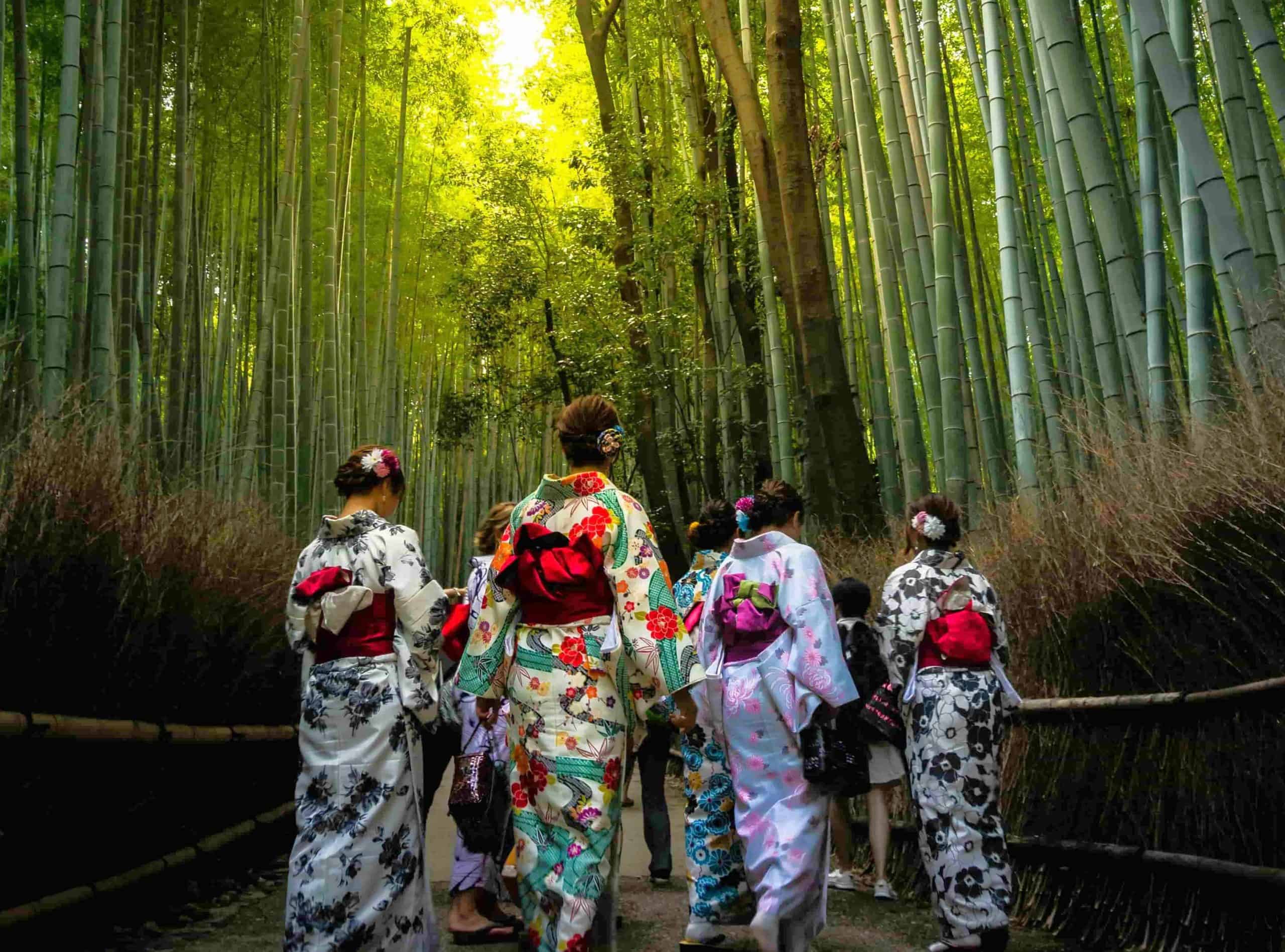 Giappone_Foresta_Bambu_1