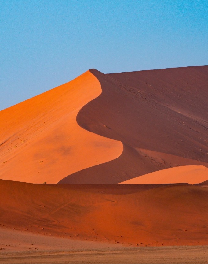 Progetto senza titolo - 1