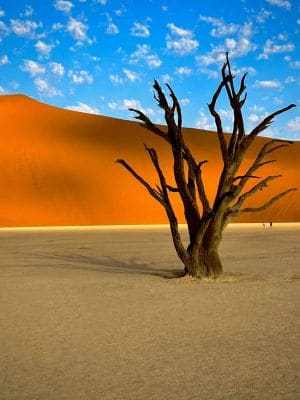 Progetto senza titolo (10)