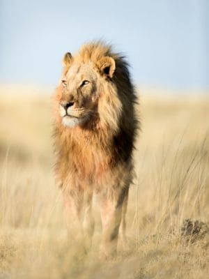 Progetto senza titolo (12)