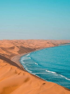 Progetto senza titolo (14)