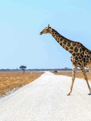 Progetto senza titolo