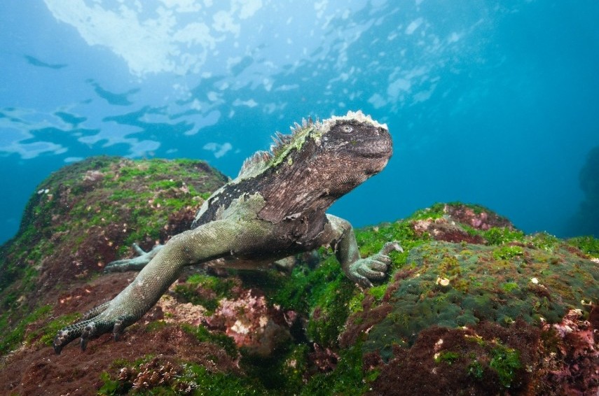 Progetto senza titolo - 1