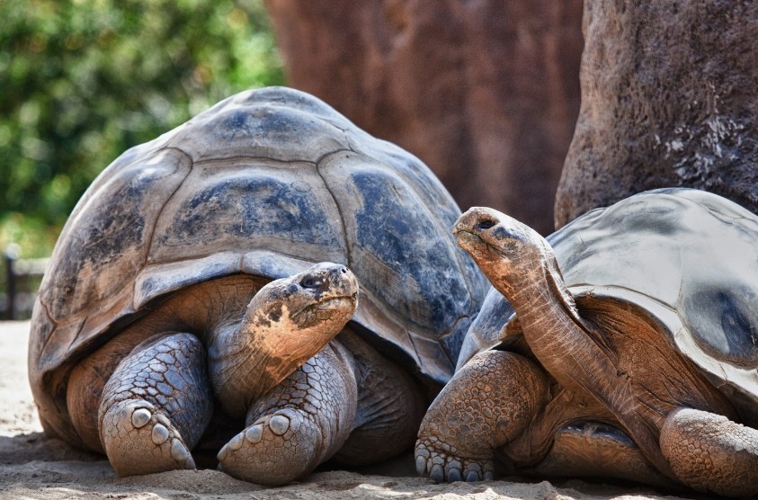 Progetto senza titolo - 1