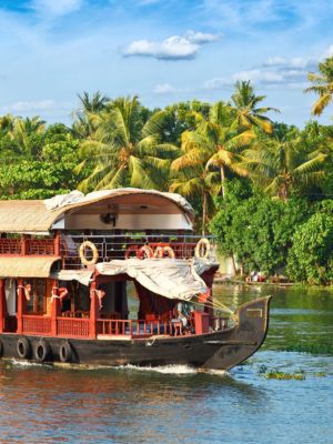 India_elemento_speciale (3)