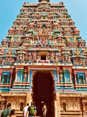 India_elemento_speciale