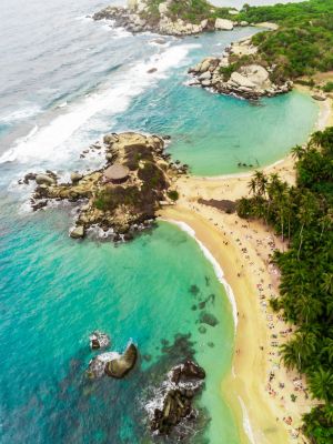 Colombi_info_speciali (2)