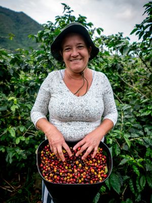 Colombi_info_speciali (3)
