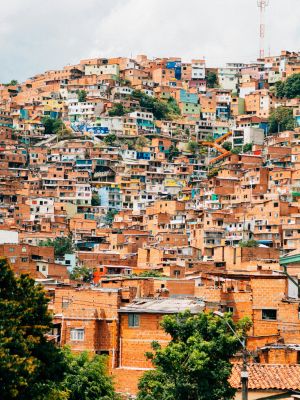 Colombi_info_speciali (7)