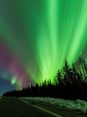 Lapponia_Finlandese (9)