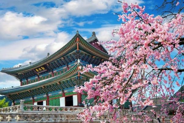 Progetto senza titolo - 1