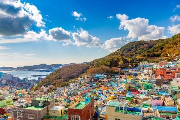 Progetto senza titolo - 1