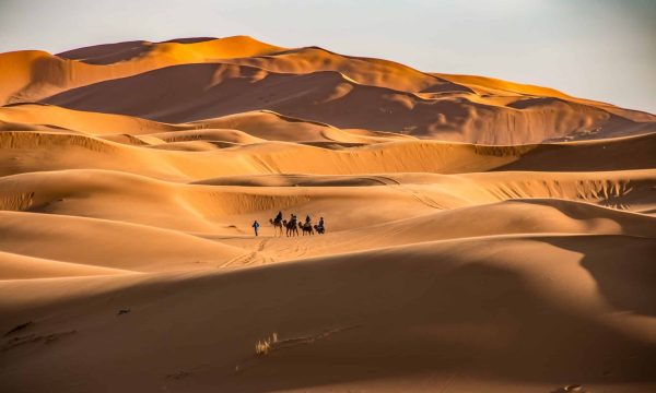 Deserto Sahara Marocco
