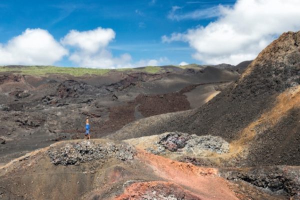 Progetto senza titolo - 1