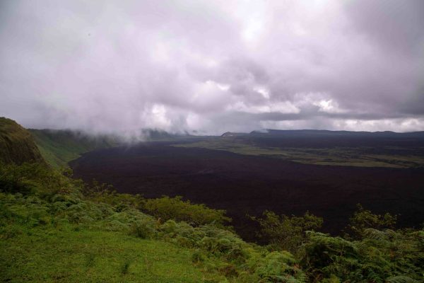 Ecuador e Galápagos_ (13)