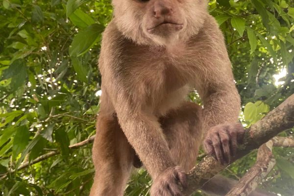 Ecuador e Galápagos_ (21)