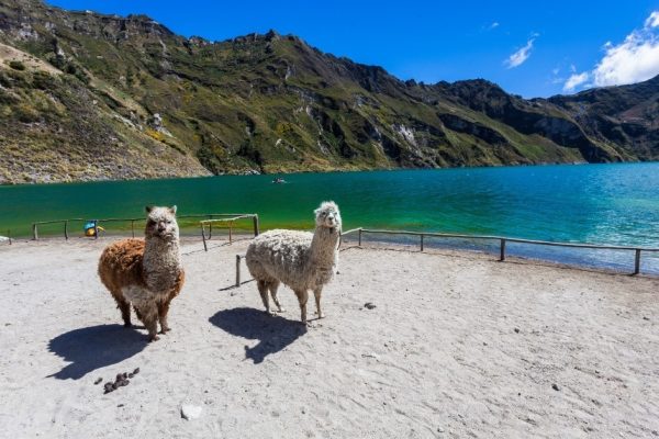 Progetto senza titolo - 1