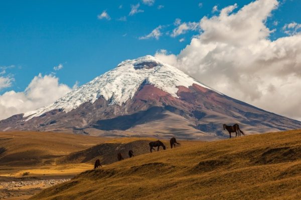 Progetto senza titolo - 1