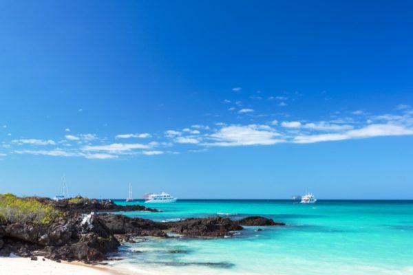 Progetto senza titolo - 1