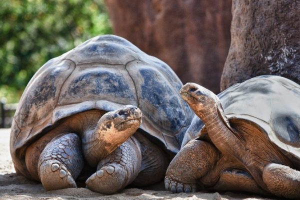 Progetto senza titolo - 1