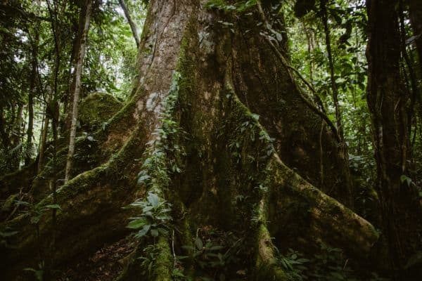 Ecuador_ (15)