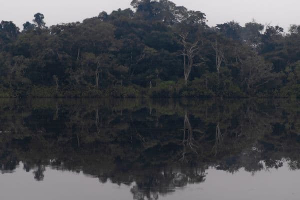 Ecuador_ (2)