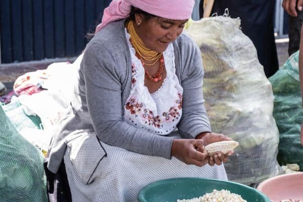 Ecuador_ (20)