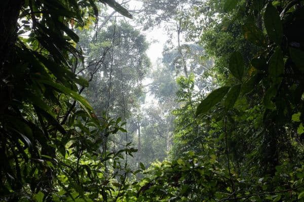 Ecuador_ (33)
