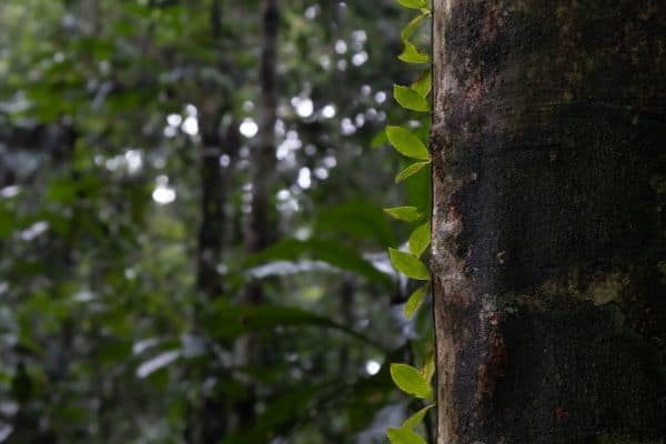 Ecuador_ (34)