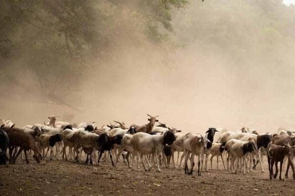 Etiopia_ (16)