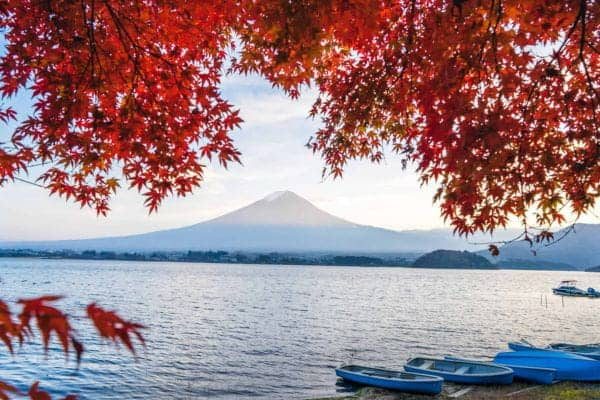 Giappone (5)