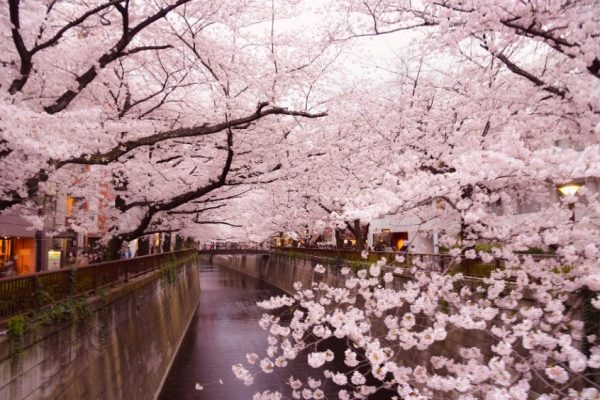 Progetto senza titolo - 1