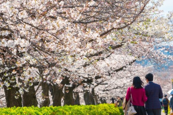 Progetto senza titolo - 1