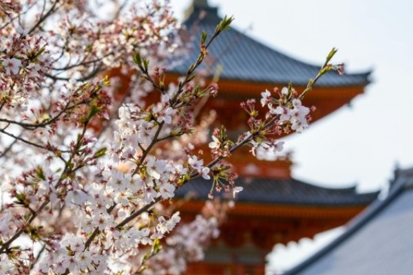 Progetto senza titolo - 1