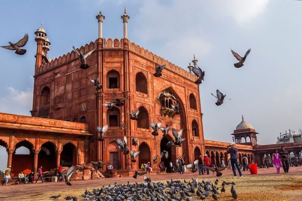 India_ (16)