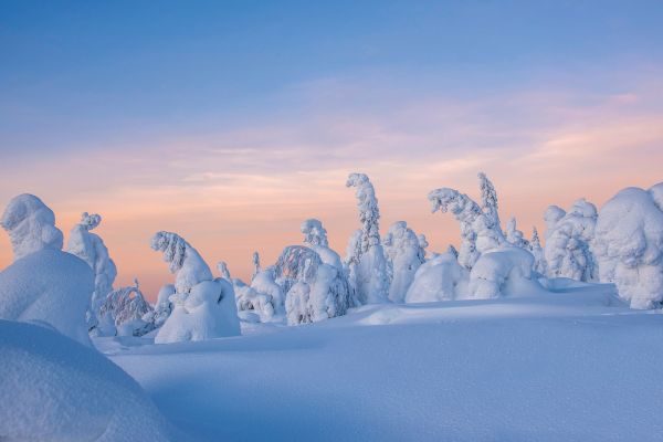 Lapponia_Finlandese (1)