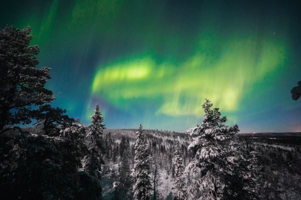 Lapponia_Finlandese (4)