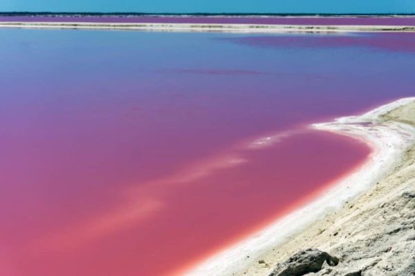 Progetto senza titolo - 1