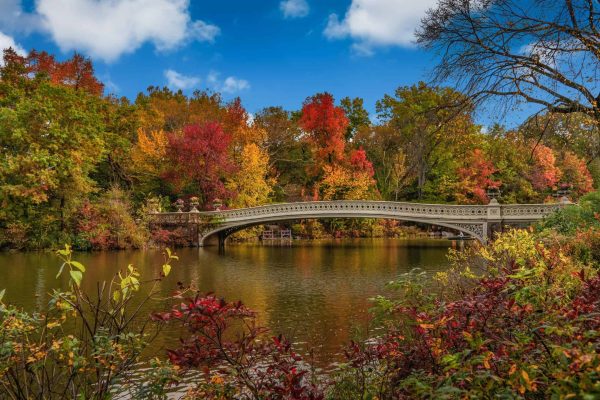 NEW YORK CENTRAL PARK