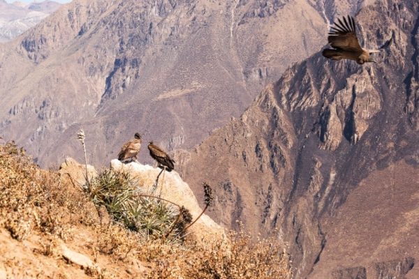 Progetto senza titolo - 1