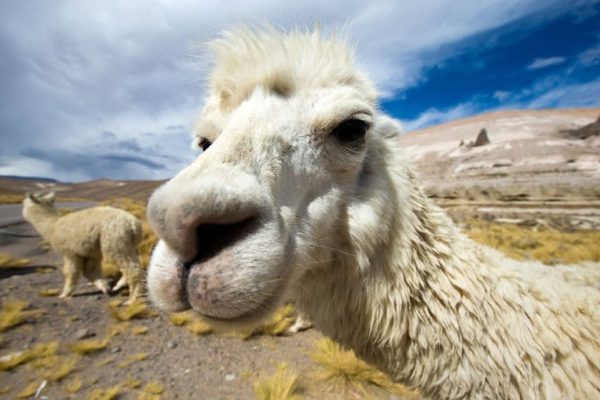 Progetto senza titolo - 1