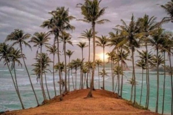Sri-Lanka-Coconut-Tree-Hill.jpg
