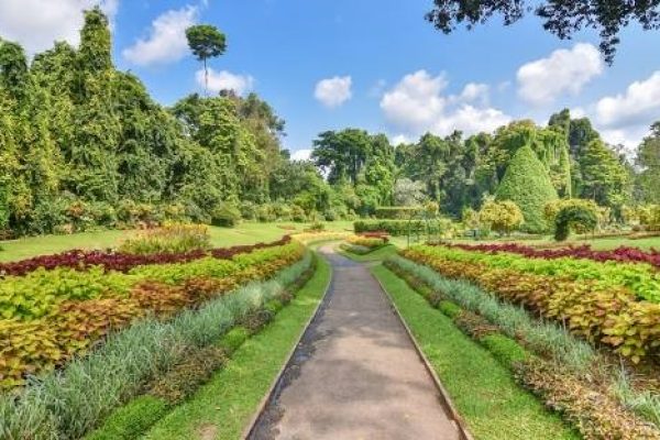 Sri-Lanka-Peradeniya-Royal-Botanical-Garden.jpg