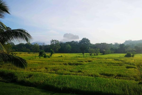 Sri-Lanka_Sigiriya-1-scaled-1.jpg