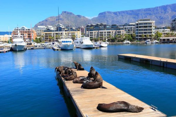 Progetto senza titolo - 1