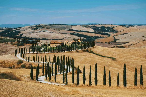 Val d'Orcia_ (14)