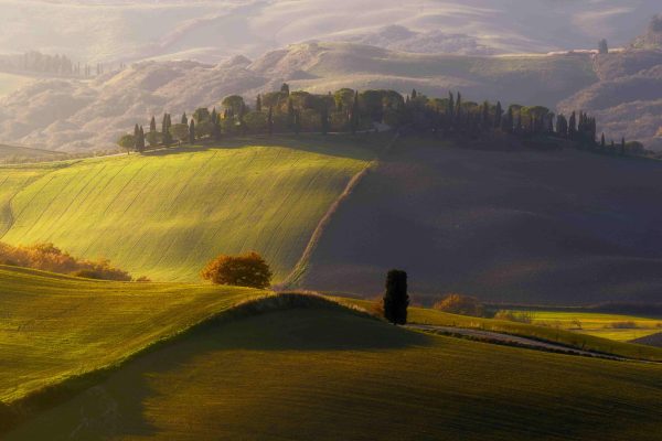 Val d'Orcia_ (15)