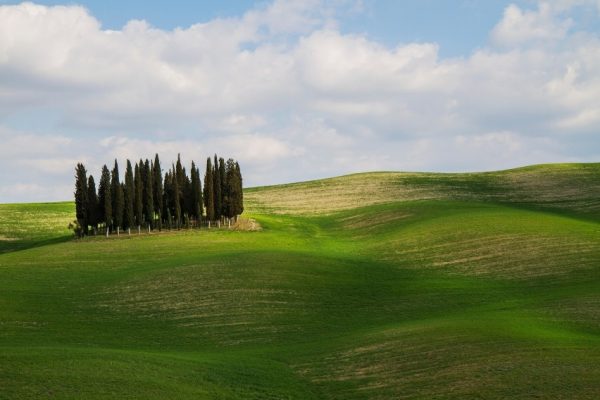 Progetto senza titolo - 1