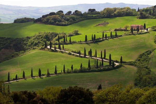 Progetto senza titolo - 1