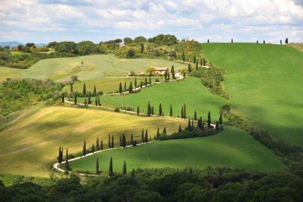 Progetto senza titolo - 1